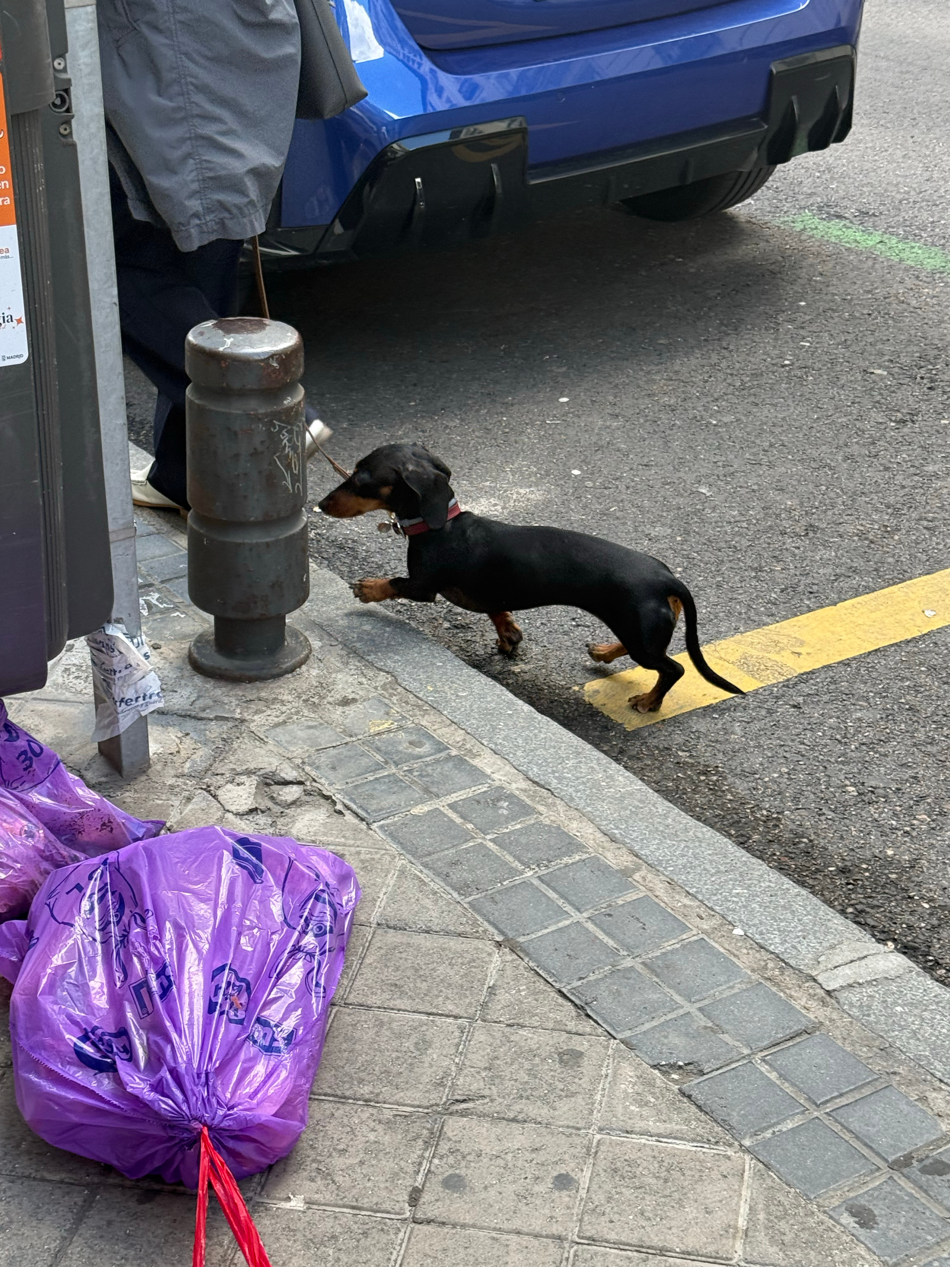 再一次来到西班牙和朋友们去了新的城市
