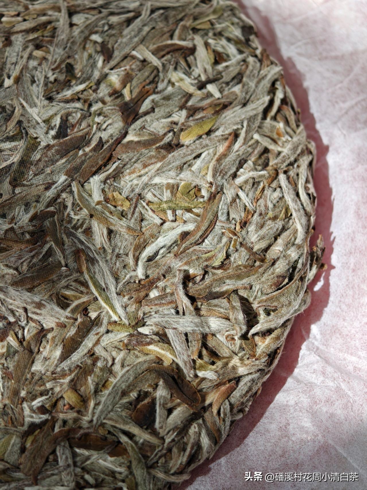 看这一饼荒野白毫银针，满饼银毫，如雪似霜。
深山荒野头采单芽，自然生长，日光萎凋