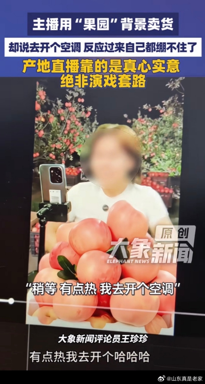 只因一句“开空调”太突兀而已。利用软件，弄个虚假背景搞直播，这压根不算新闻。 