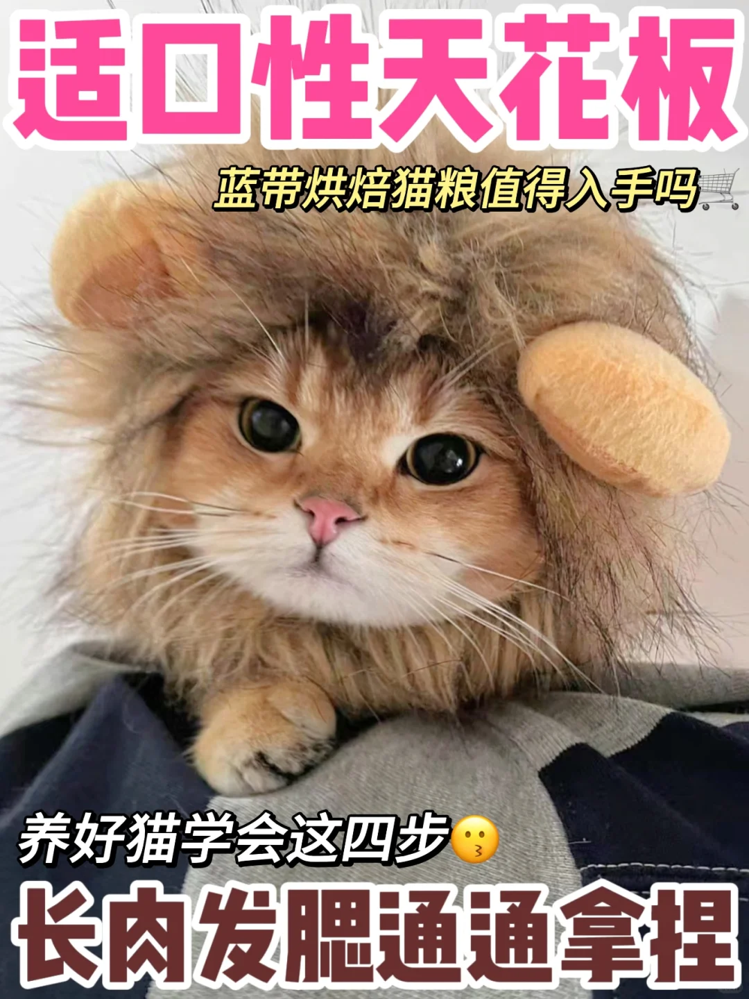 适口性天花板？蓝带烘焙猫粮值得入手吗？