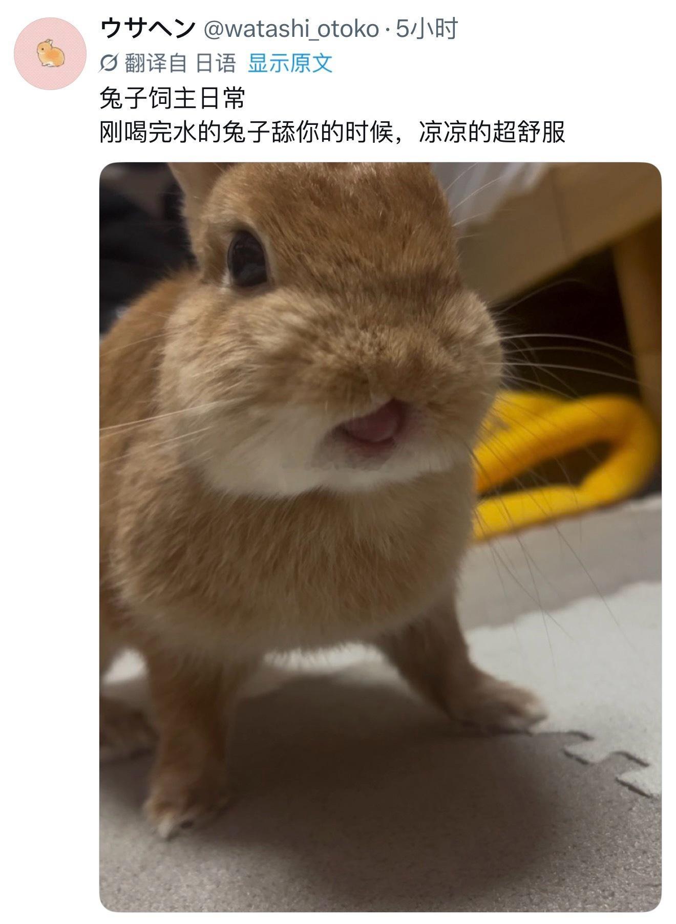 不造啊，问问邵群吧。吃完冰淇淋的小程秀口感怎么样
