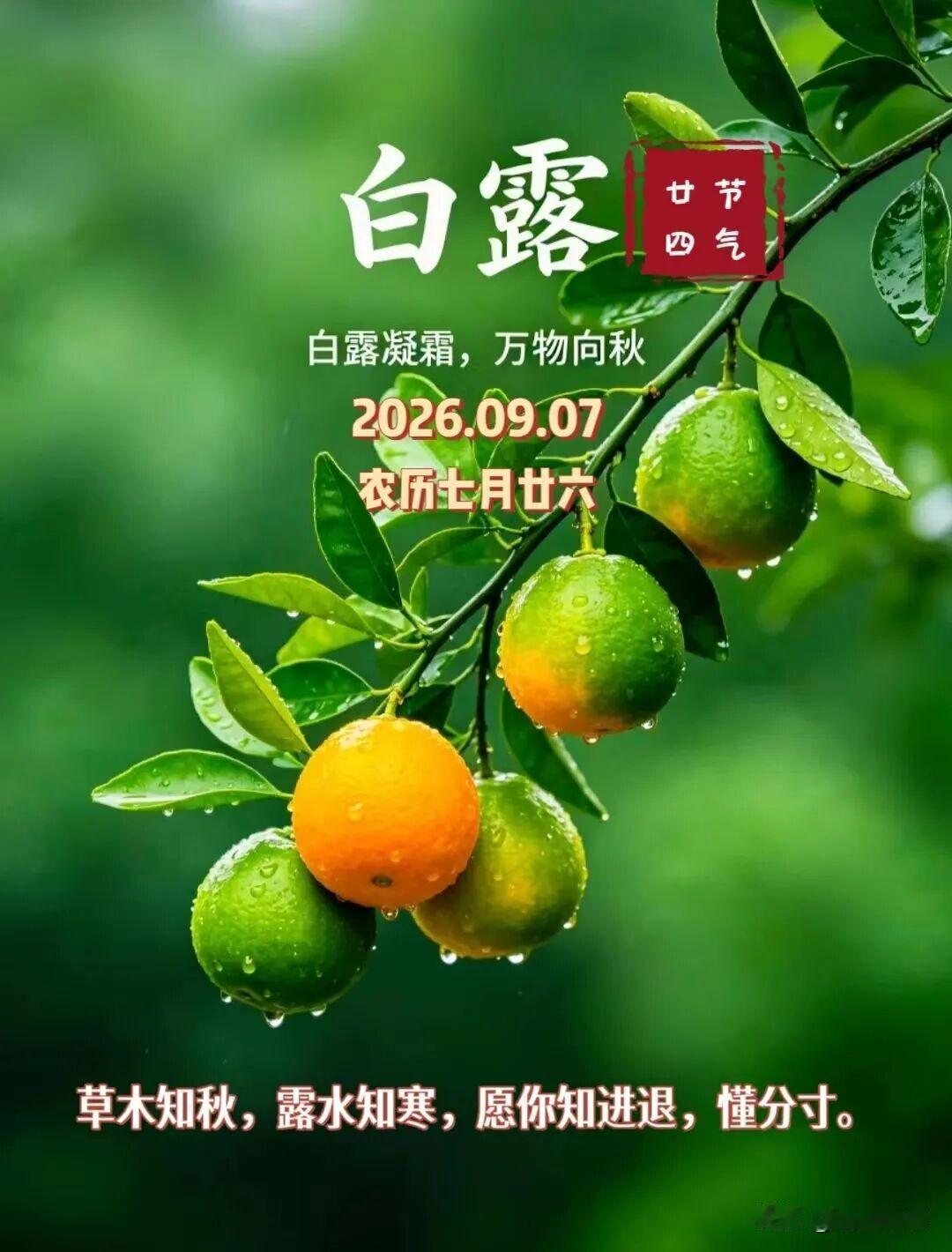 冷空气到来，气温下降，最低气温将降至个位数了，记得多穿点衣服，别着凉了。
沈阳的
