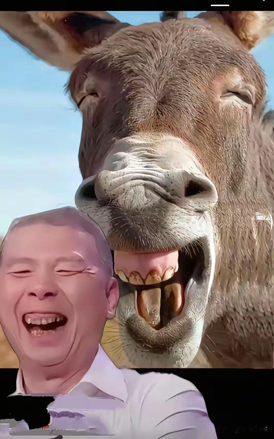 谁干的？人格尊严不应该侵犯，太不礼貌了！