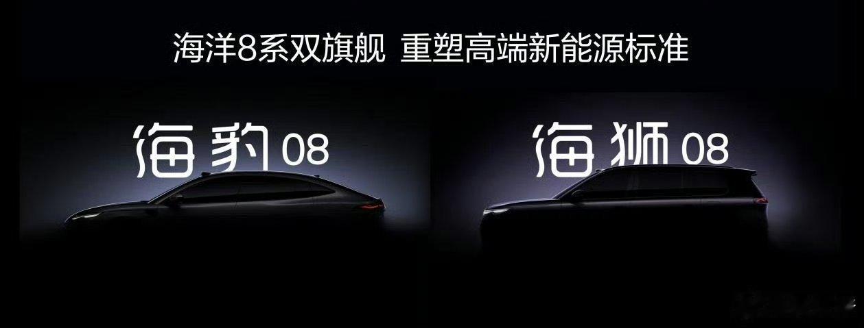 比亚迪海洋网公布了起全新高端旗舰——海洋8系定名，分别为：全新大型旗舰轿车“海豹