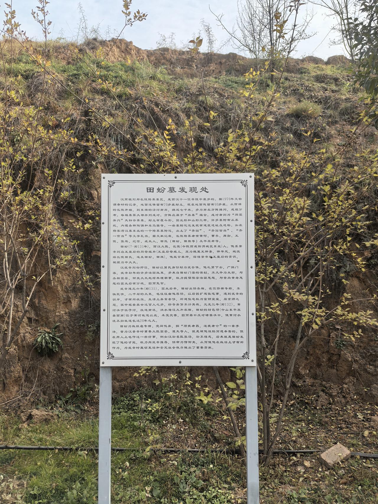 本来以为大唐名将李光弼的墓已经足够寒酸，直到我看到了西汉著名权臣田蚡的墓，被震惊