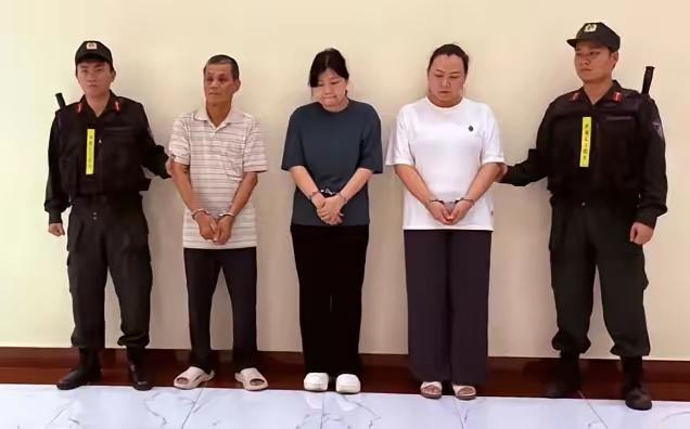 一家三口联手操作，将中国生产的电力设备伪装成加拿大产品，连续三年混入越南电力招标