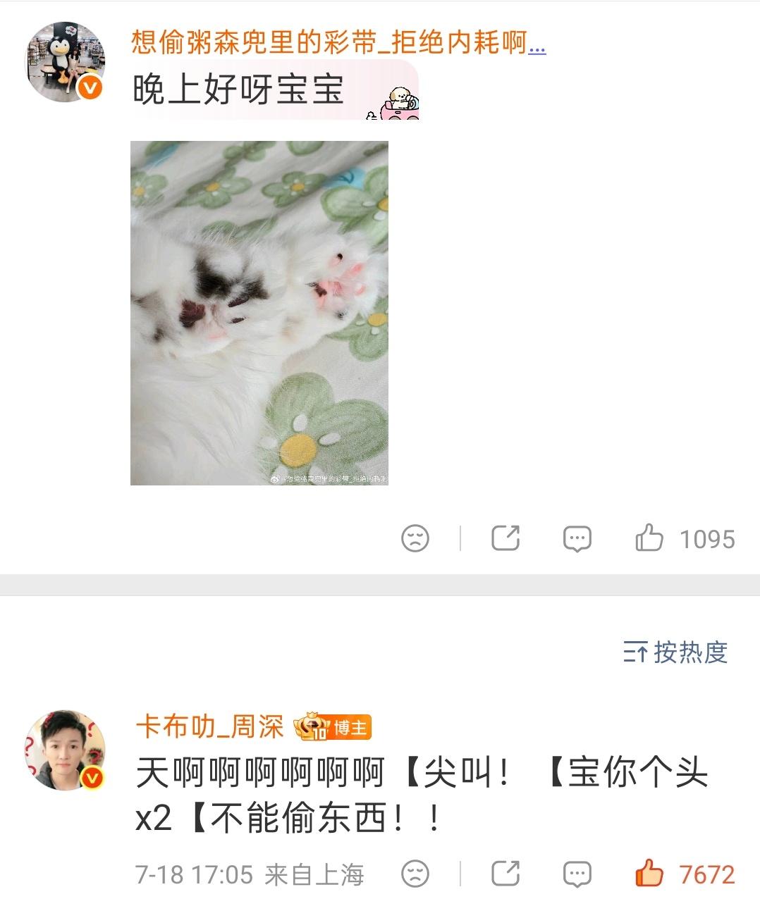 ▪ 2026.07.18🐱回复网页链接