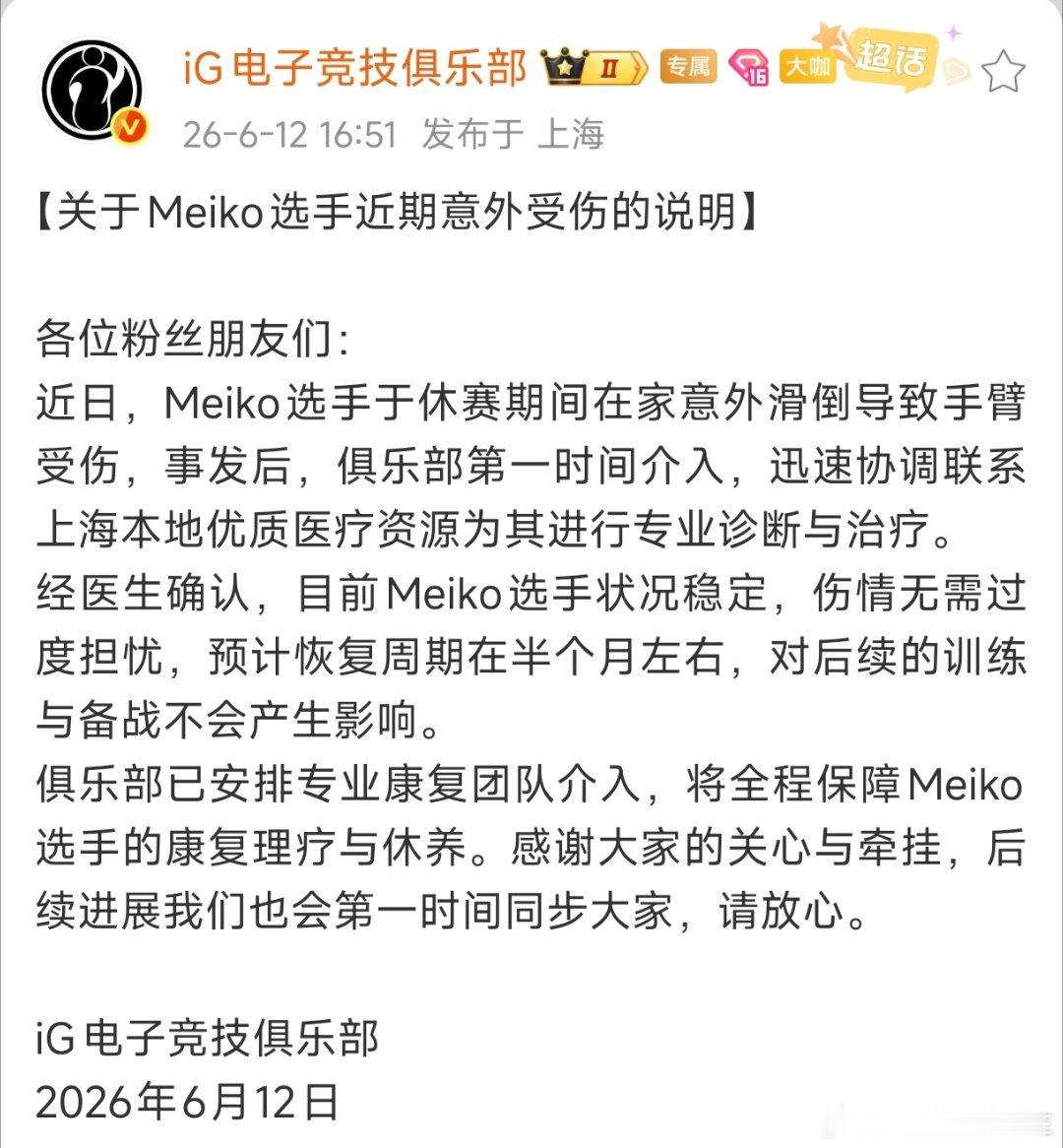希望Meiko选手能够早日康复！！！Meiko受伤