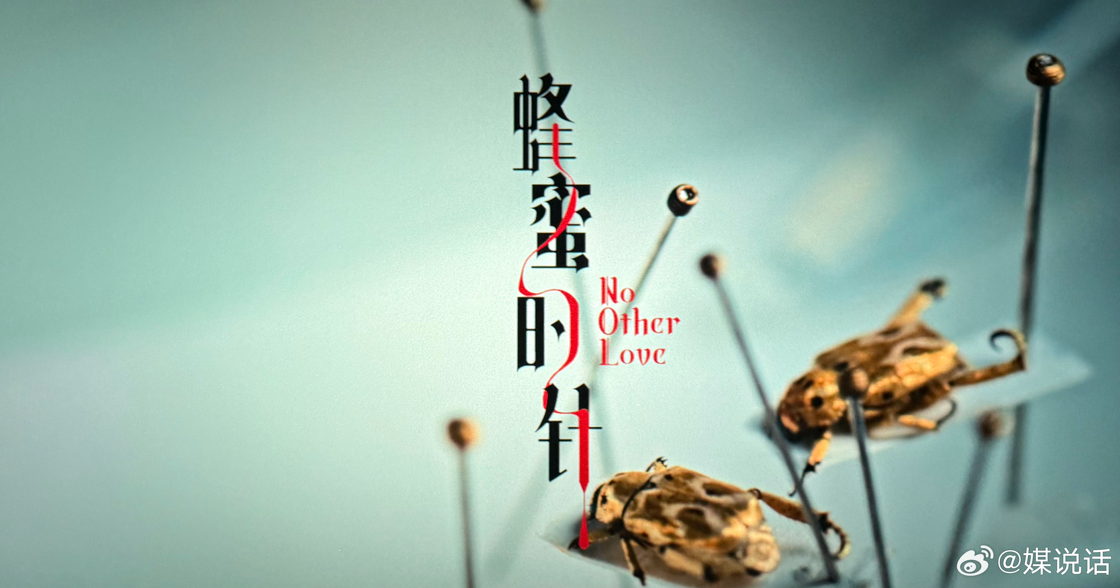 电影蜂蜜的针首波口碑 看完《蜂蜜的针》好感慨，在如今这个流量为王的时代，难以想象