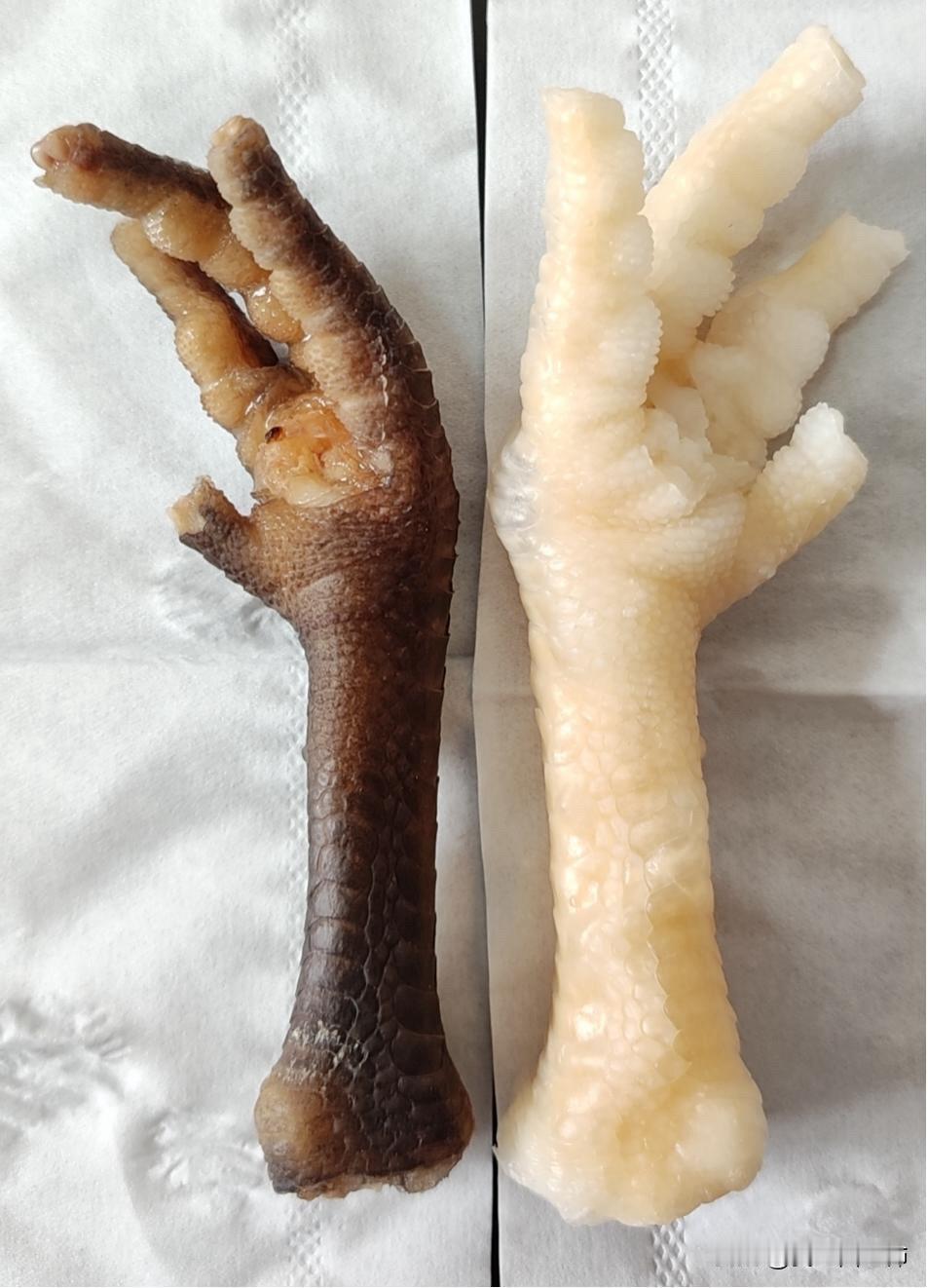 姐妹们  停嘴 别啃了315 曝光了
315鸡爪曝光·多角度实拍（央视/官媒截图