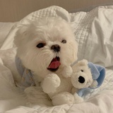 桃叶爱玩