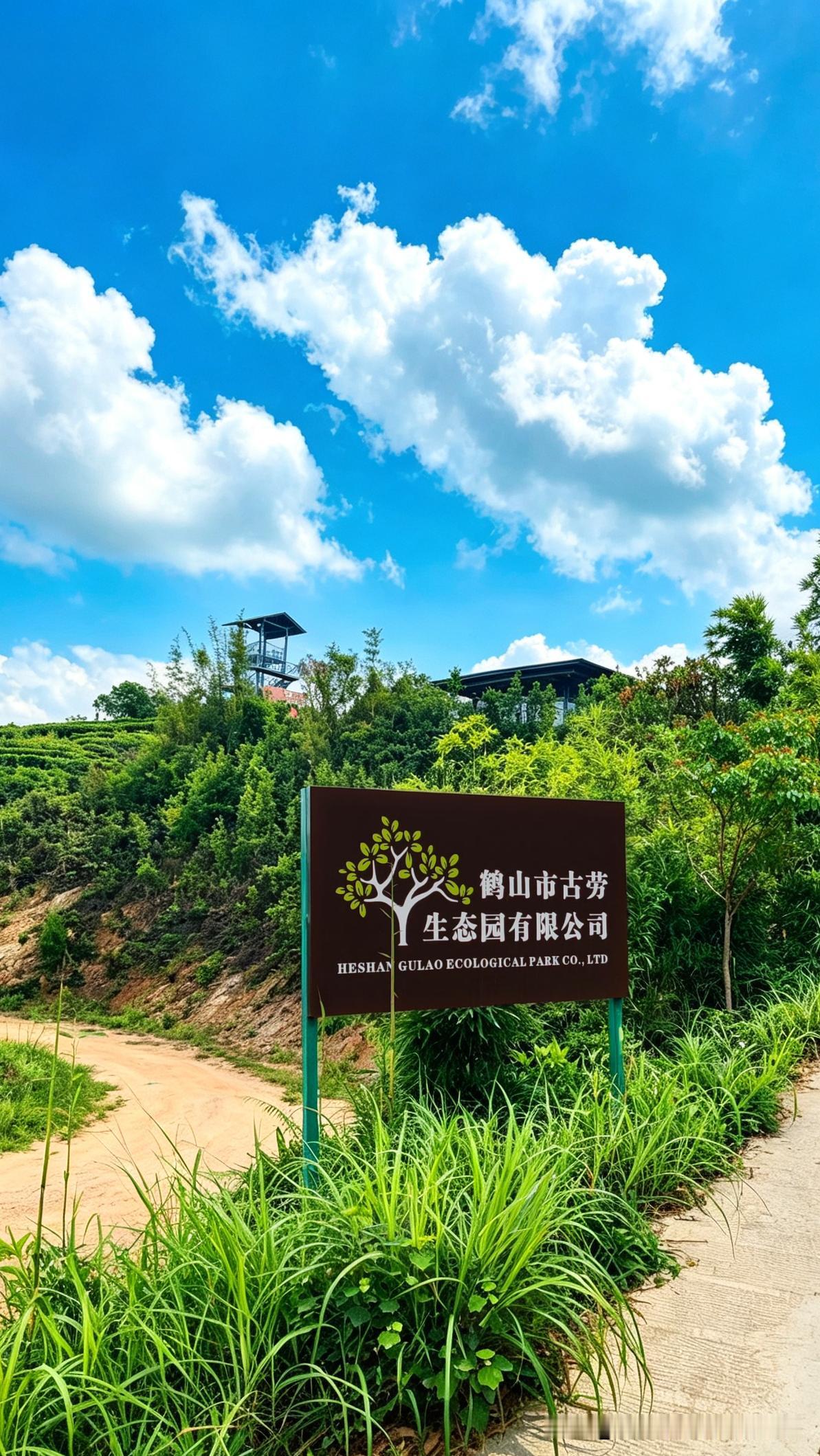 江门农科之旅｜鹤山古劳茶山×天然居·茶屿
鹤山古劳茶山×红色基因与茶业联动
	