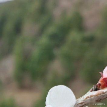 世间所有关系，都有它的期限。有人陪你一程，有人伴你一段，不必强求长久，相遇已是恩