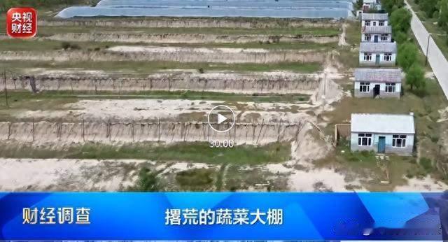 9天拿下1.2亿项目！空壳公司跑路，谁在为骗局开绿灯？