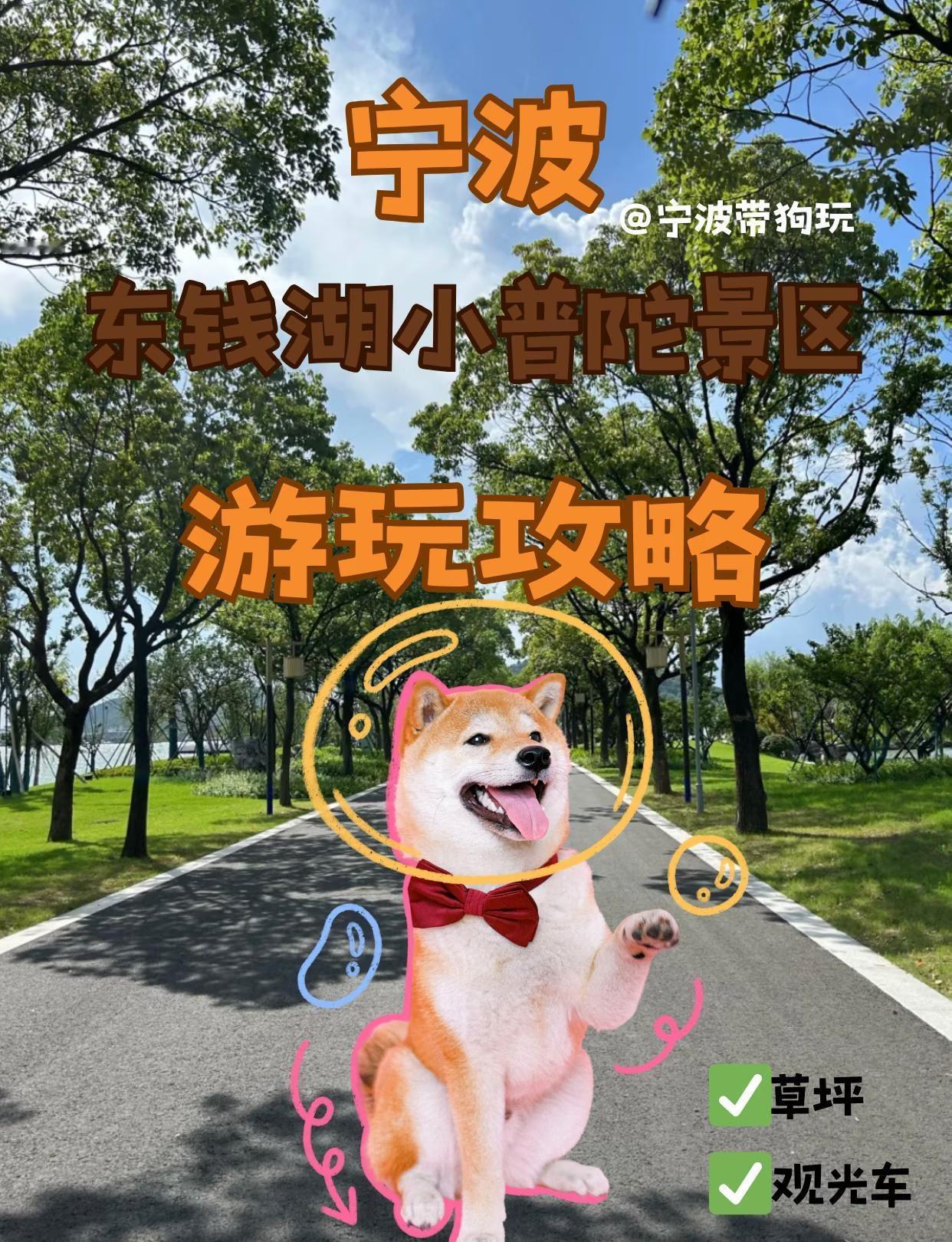 带狗逛东钱湖！这条轻松路线闭眼冲
宁波超适合带毛孩子散步的地方来啦！
东钱湖小普