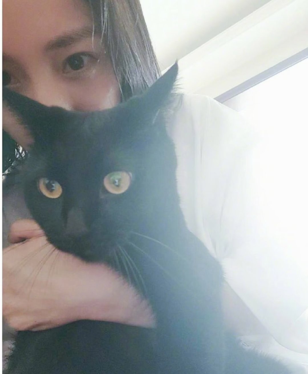杨幂招聘助理要求杨幂招聘助理要求：会简餐照顾小猫咪🐱。我幂爱猫可不是说说而已?
