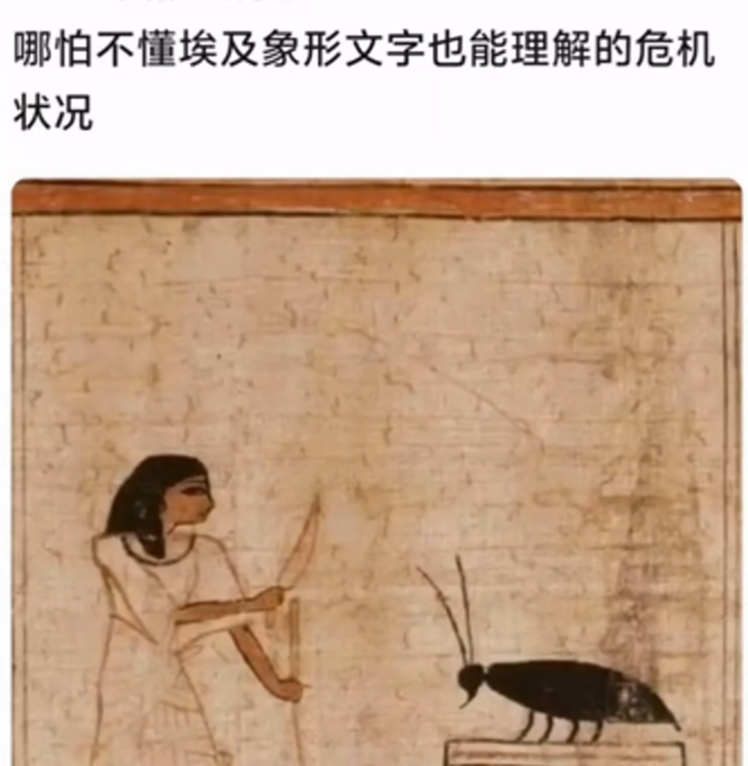 蟑螂真是世界之敌……谁会看到蟑螂无动于衷！ 