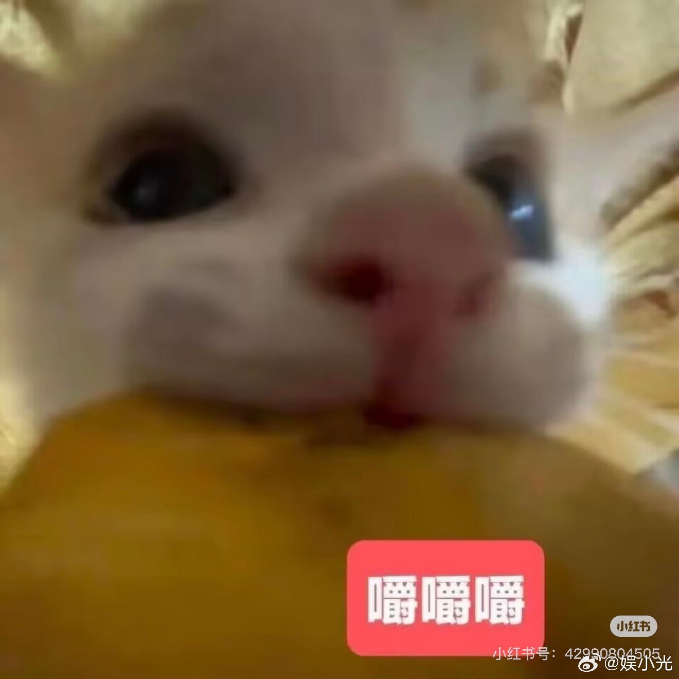 肖战小城良方云包场满级大佬重回新手村，肖战刘铮亮来了！没有悬浮的剧情，全是接地气