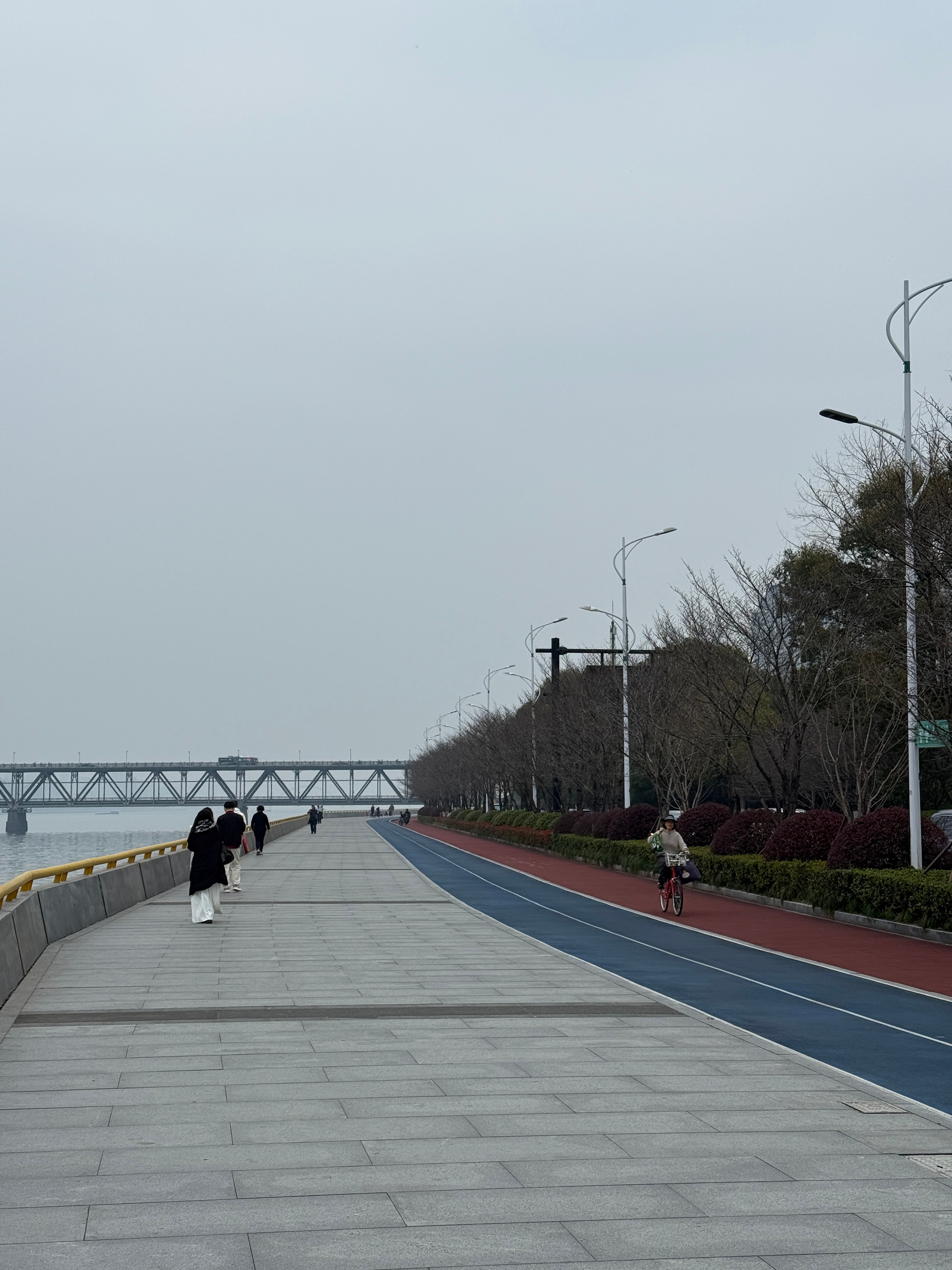 两幅景象～ 园区里都春意盎然，但最美樱花跑道的樱花还是光秃秃