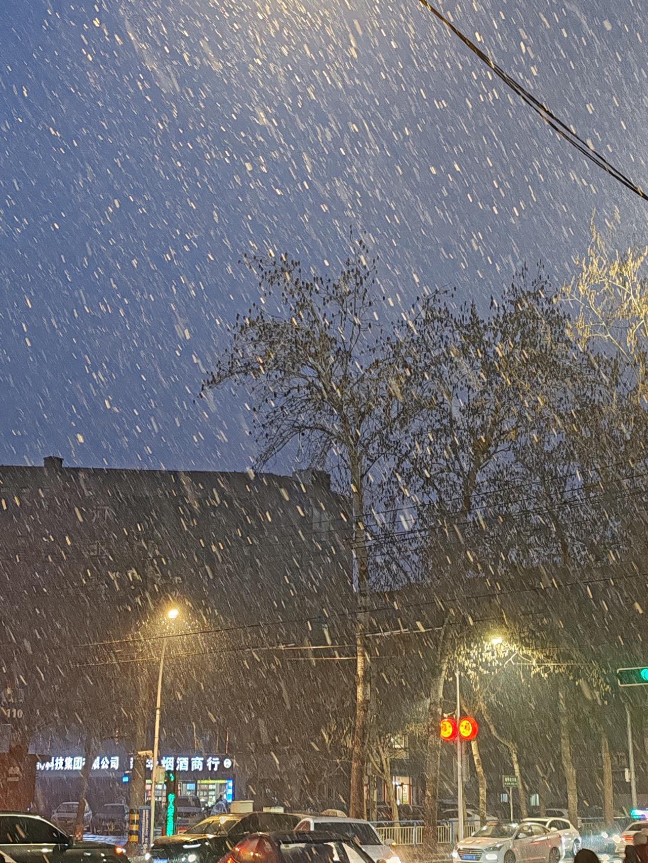 屋顶上，树梢上很快就被一层雪覆盖。孩子们兴奋地跑出门，在雪地里嬉笑玩耍。大人们也