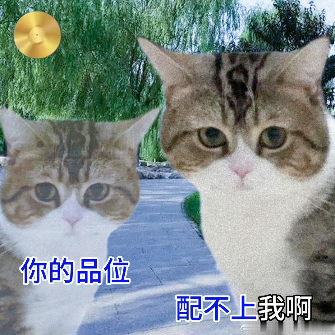 当之无愧系列最权威一集，papi酱这段名场面产出洗脑神曲，复古画风搭配直白台词适