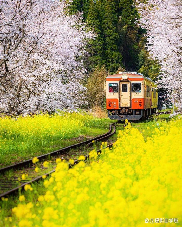 破局三招，告别纠结内耗
 
1. 小事凭直觉，大事看底线
日常琐事不必反复权衡，