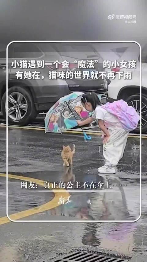 “这就是骨子里的善良！”湖北襄阳，一名6岁小女孩在雨中偶遇一只小猫，于心不忍，将