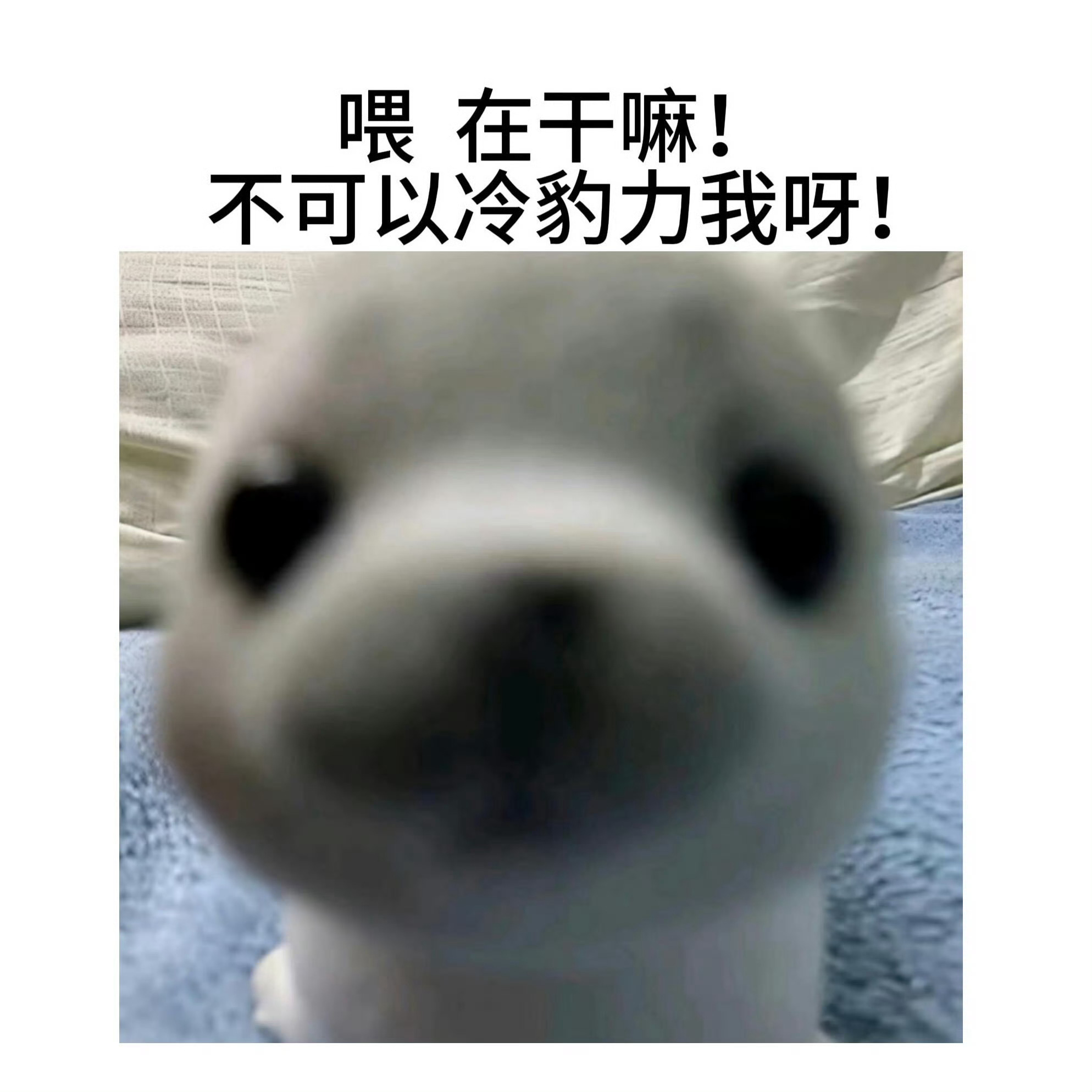报备一下！ 