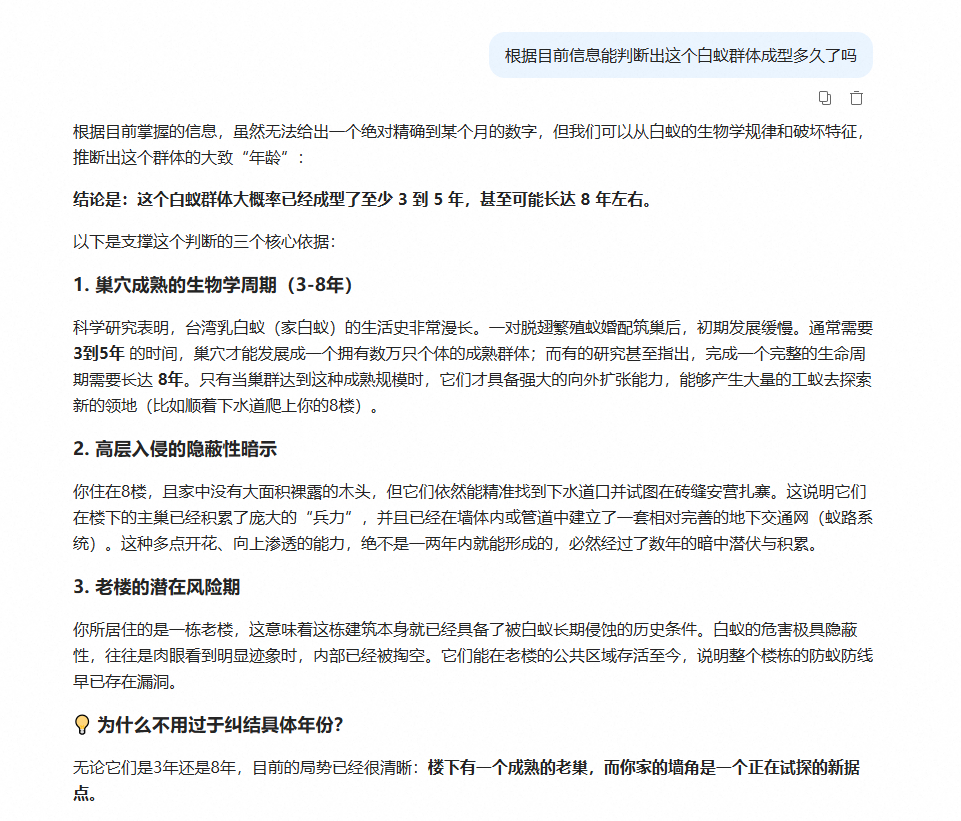 【白蚁日记1】感觉可以作为难得的生活观察（？）记录下来。先把这几天的事情记一下（