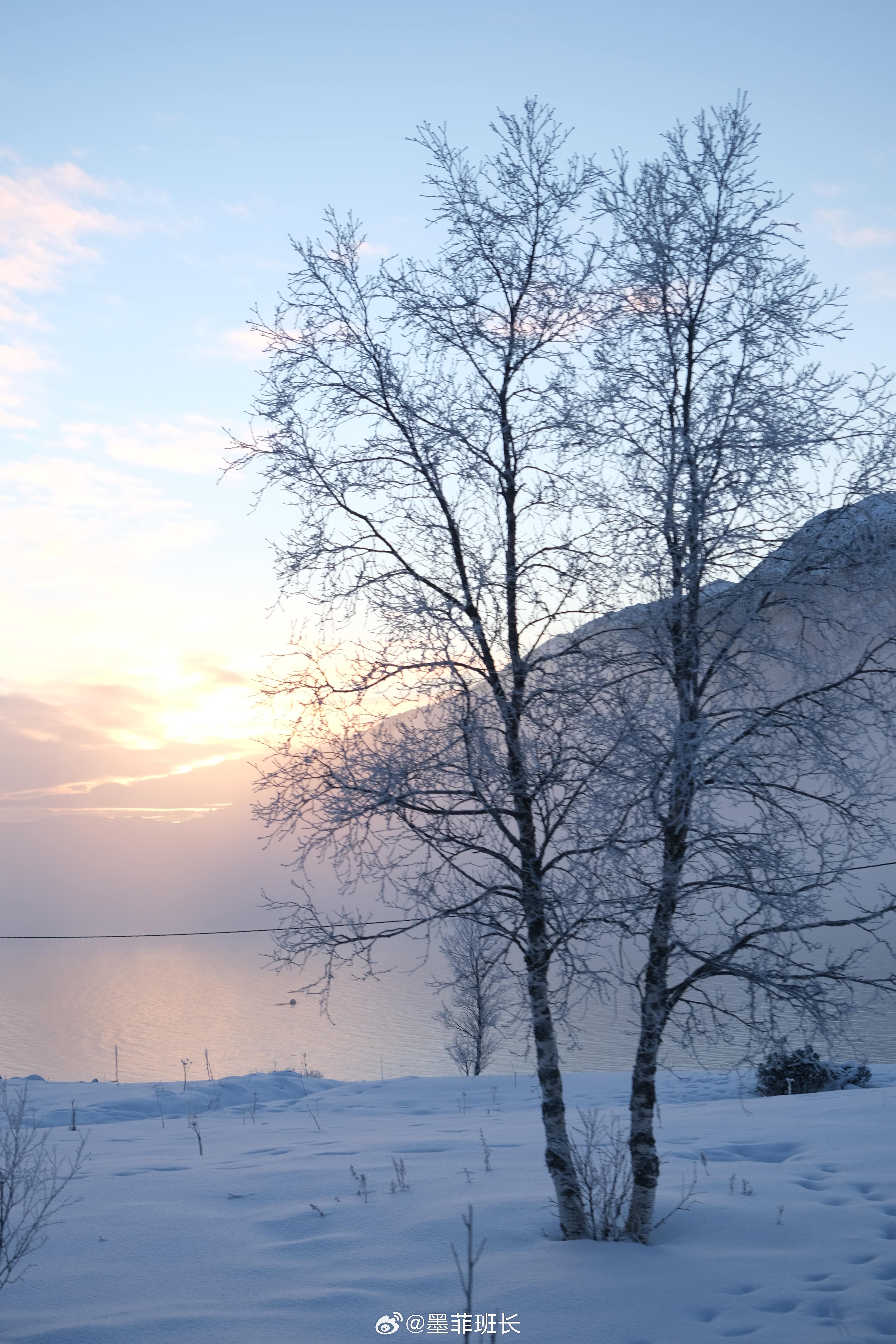 雪国之美啊❄️夕阳，雾气，雪松，人家，误入仙境的感觉🤍🤍坐车累了就随时可以下