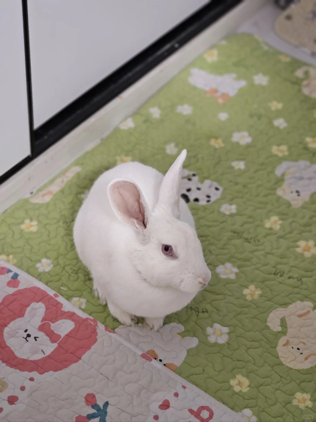 充满智慧的眼神