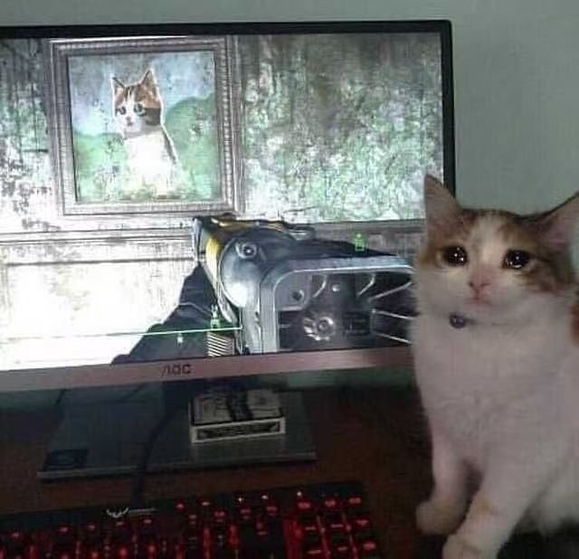 你看我不爽很久了是吗 