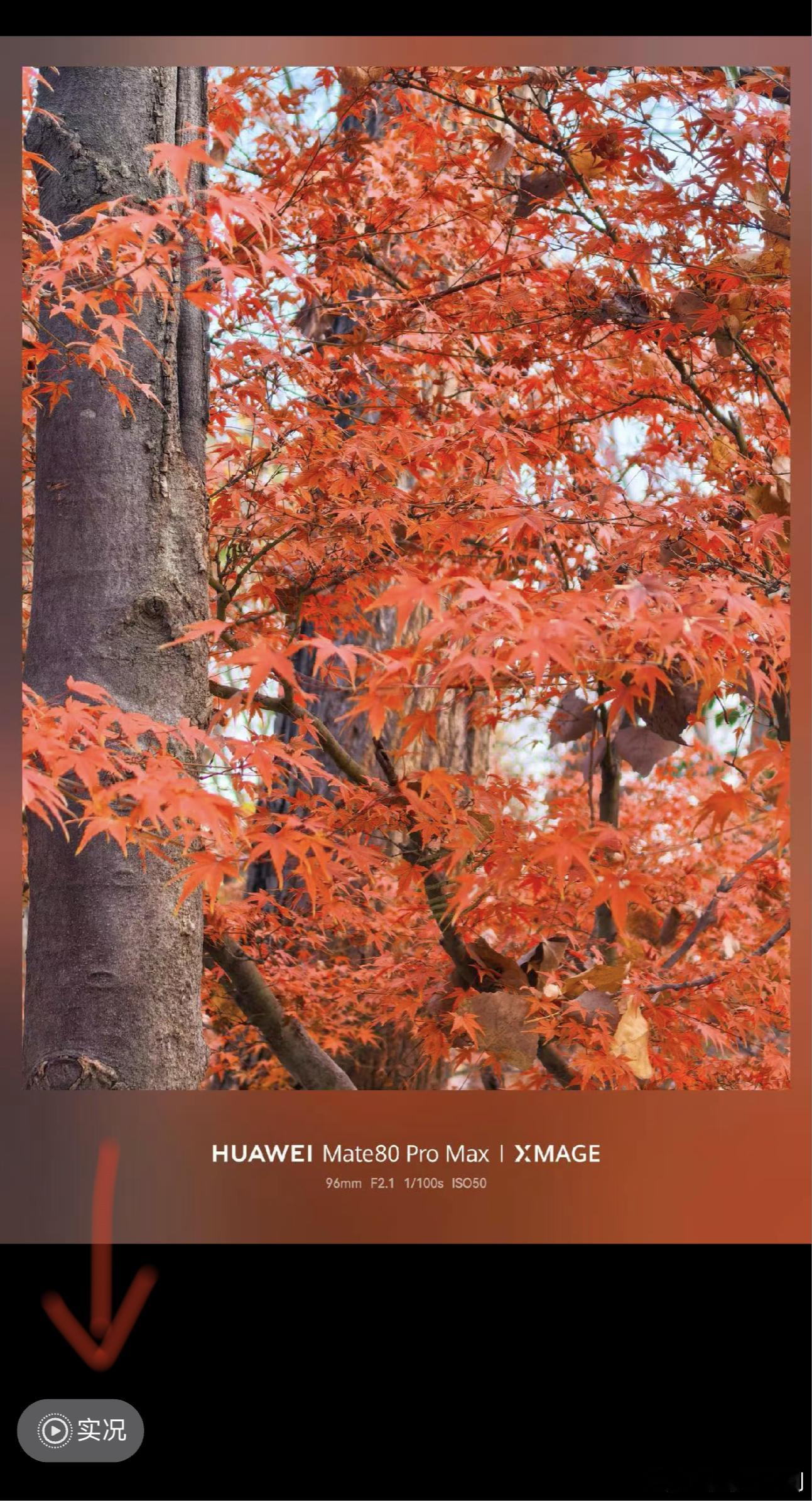 鸿蒙版微信今晚已支持“实况照片”Live Photo 的朋友圈发布、查看。灰度支