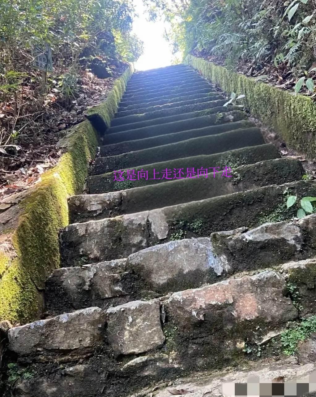 测一测你的眼力
大家猜猜看，
这是向上走，
还是向下走？