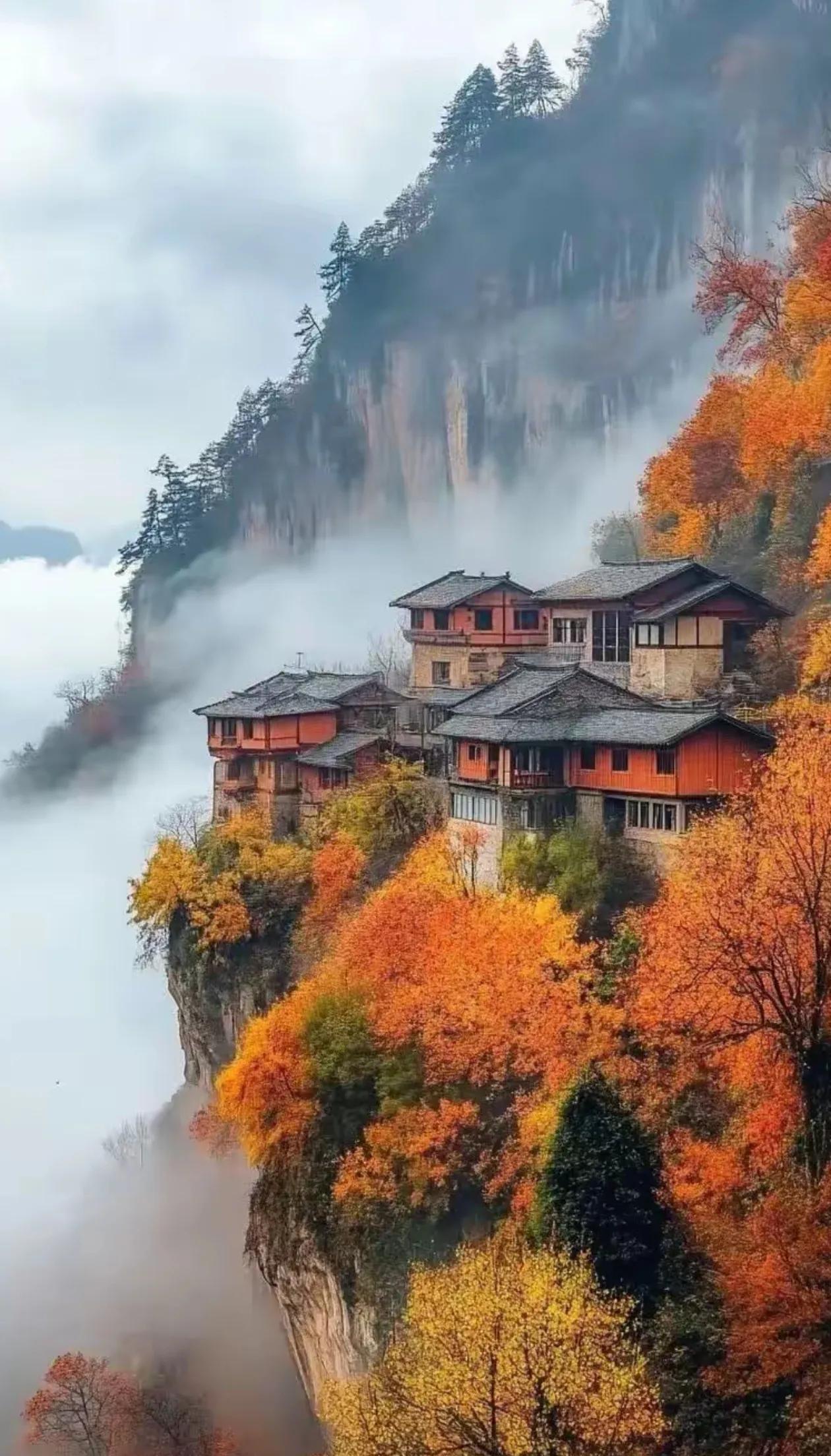 《秋后》/ 郭兴华

秋后的风 带着丝丝的凉
轻拂过那片金黄的稻浪
田埂上的雏菊