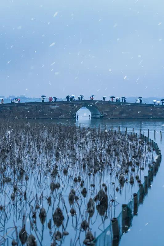 1月20日清晨，江浙沪的雪霸屏了朋友圈。这场雪话题几小时阅读量破8亿登顶热搜，南