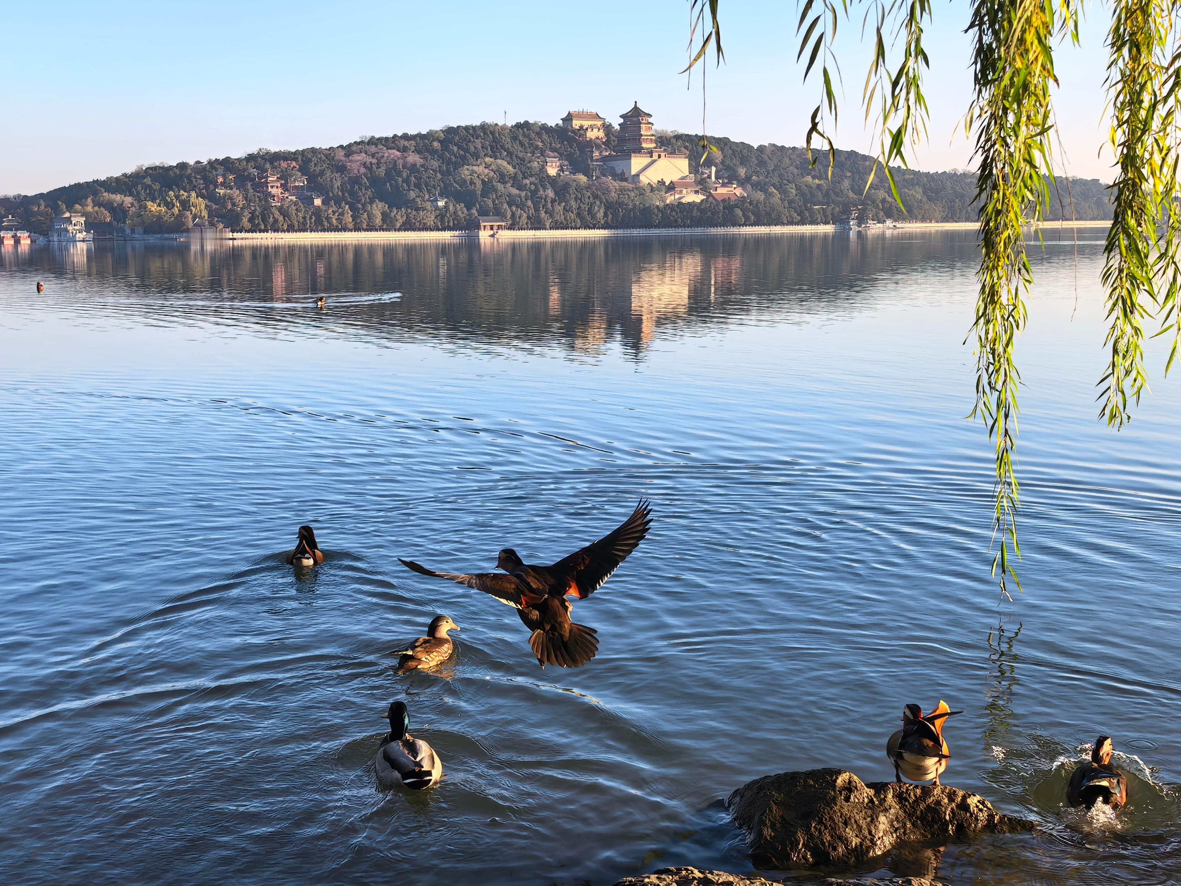 S-美元指数下行的大背景下，资源类个股再次活动空中加油的动力。所以，盘面上来看，