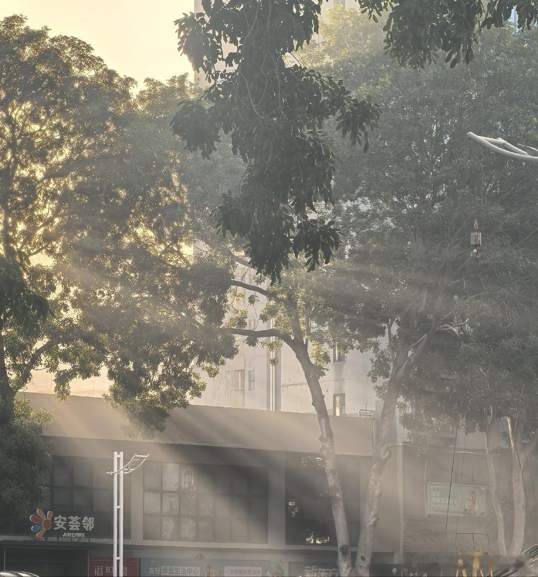 库切｜彼得堡的大师他们做了爱，好像置身于死刑宣判之下，为了各自的利益，有目的专心