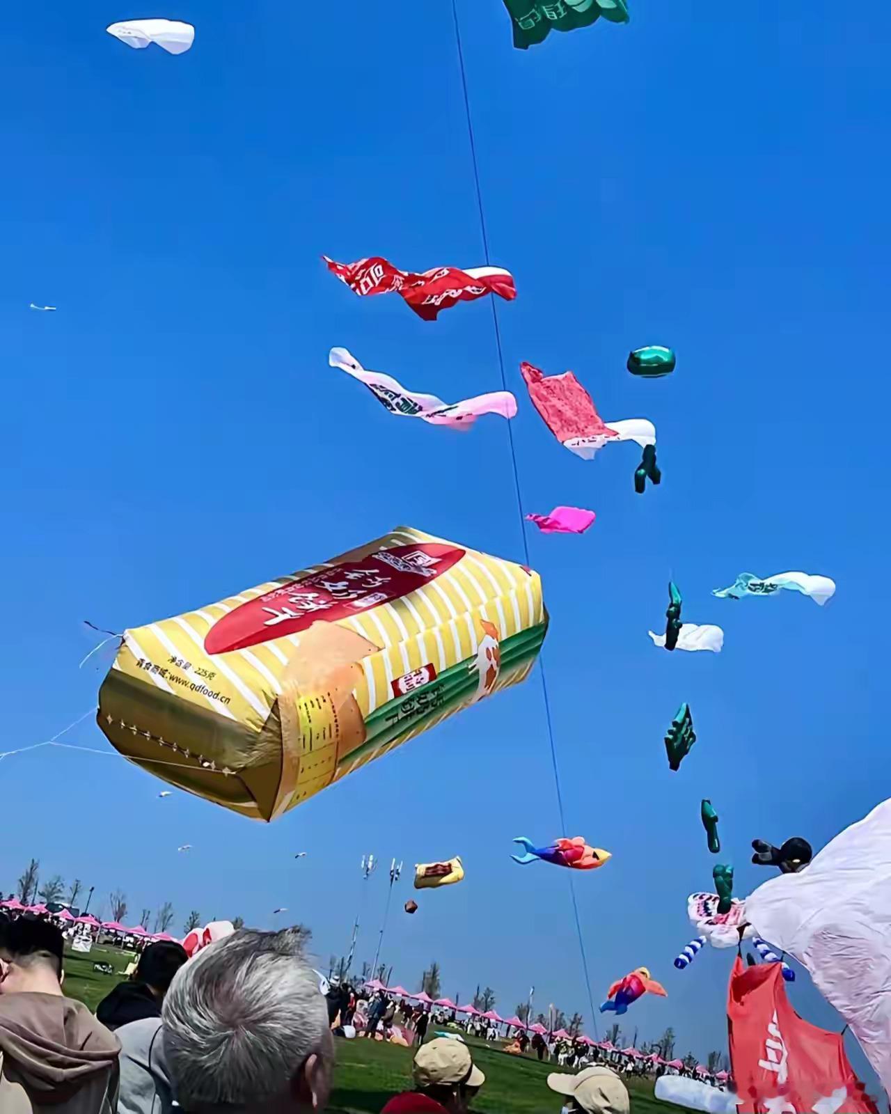 寻美山东打开山海潍坊 山东这个季节太美了，在潍坊抬头一看，根本不是天空，那是全世