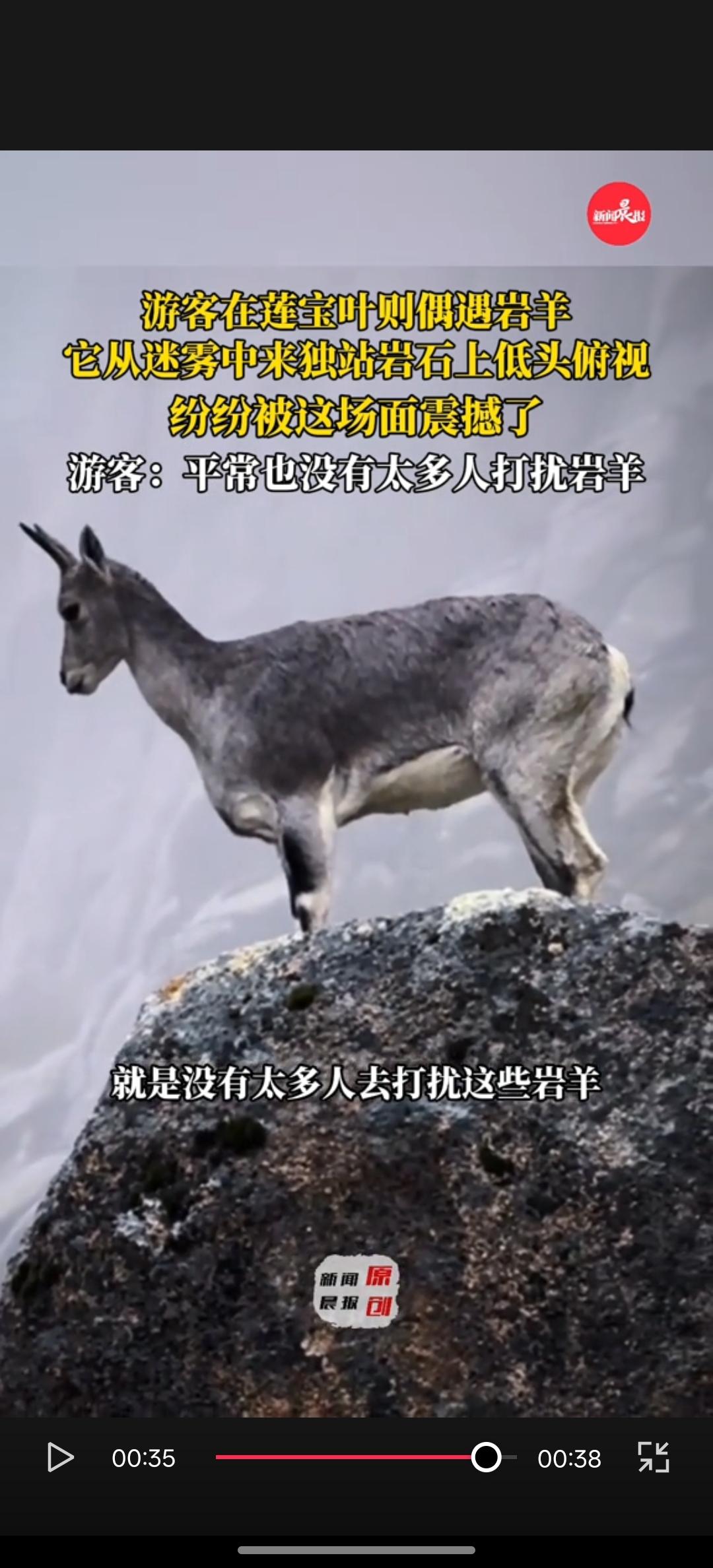 彻底解释不清了！
​连新华社都忍不住转发了。

四川，网友在莲宝叶则的山路徒步时