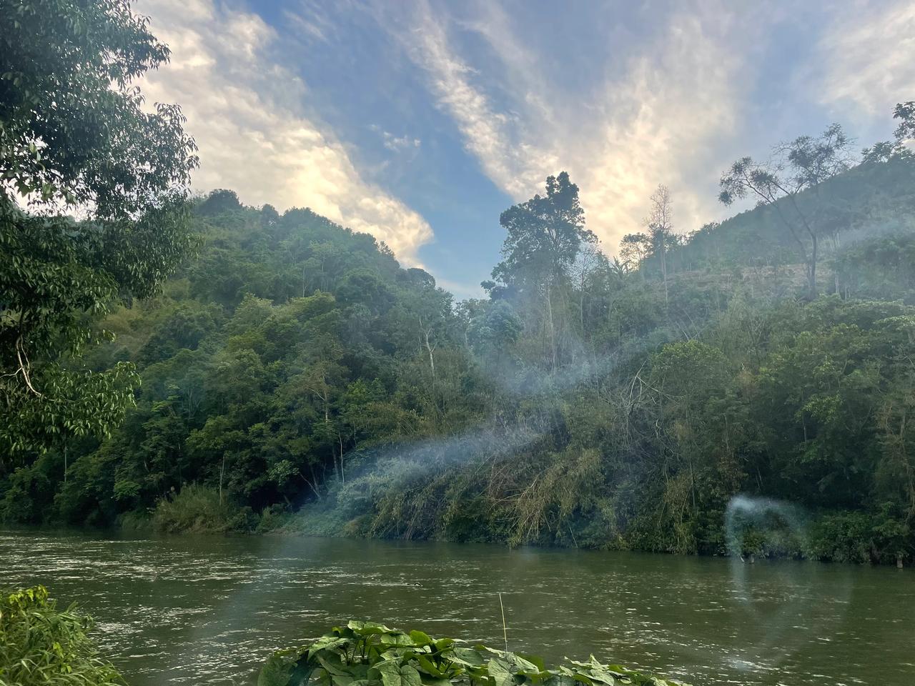天！我好像错过了什么！[流泪]我在高黎贡山见到过！只是不专业不敢确定！[流泪][