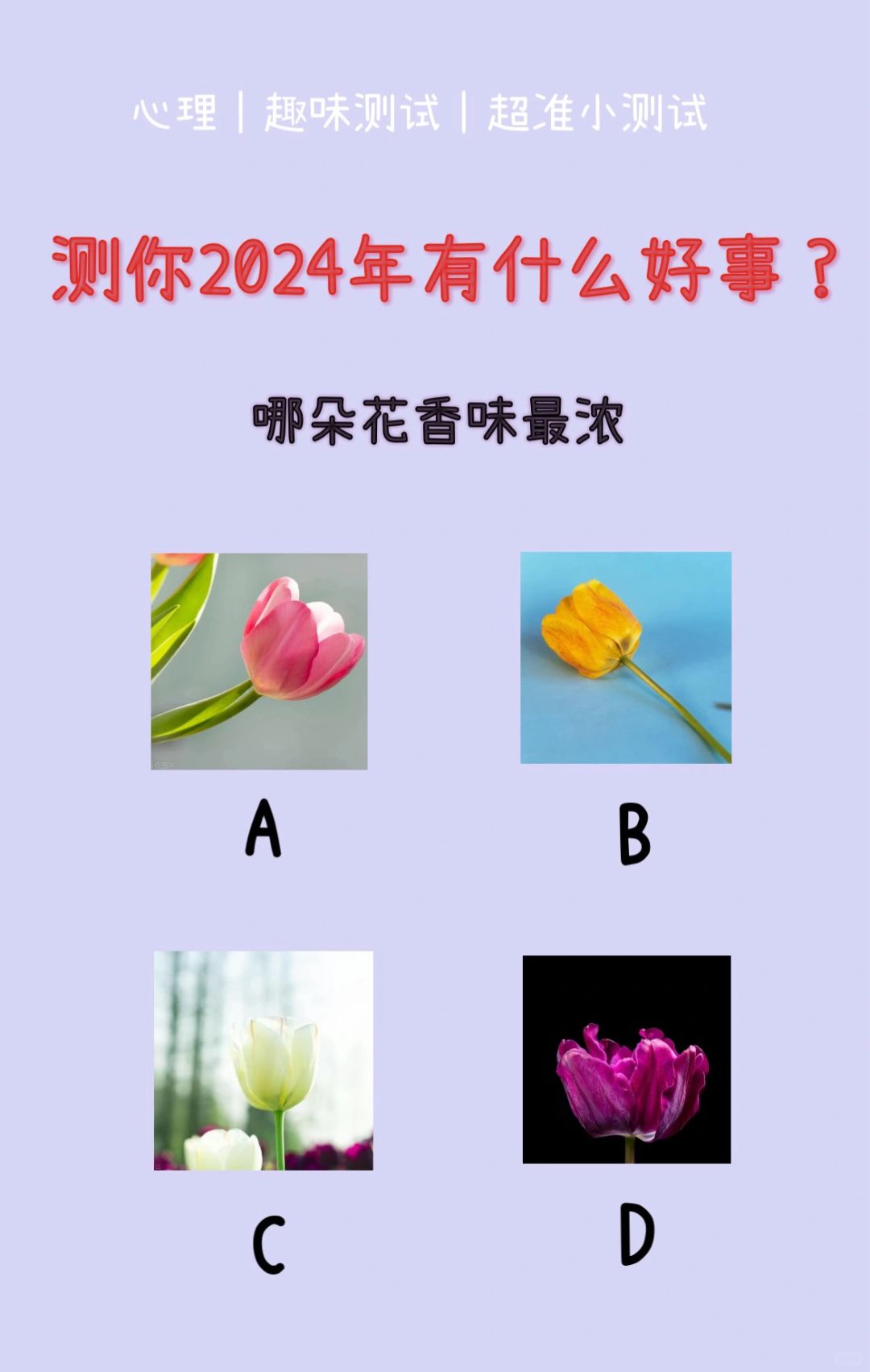 🔥测试｜测你2024年有什么好事？