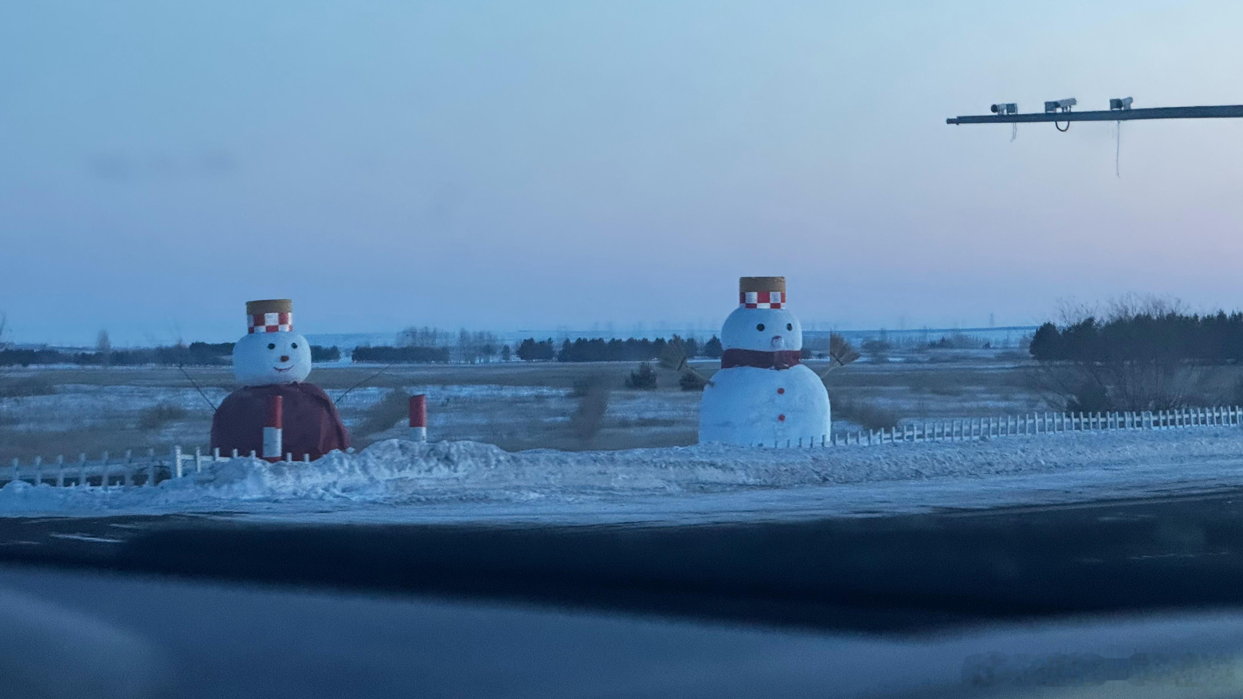 今年海拉尔遍地小雪人⛄️这俩家伙有点意思