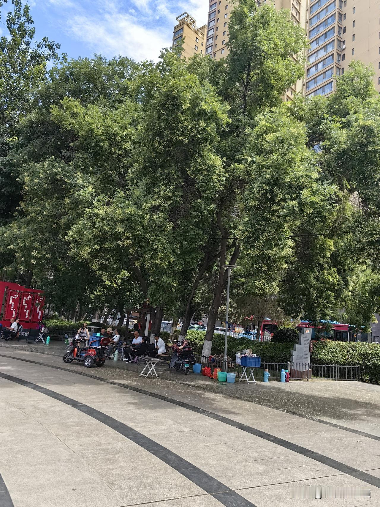 兰州人的市井生活兰州人聚会 兰州普通人的日常生活兰州小聚 最富有烟火气息的地方，