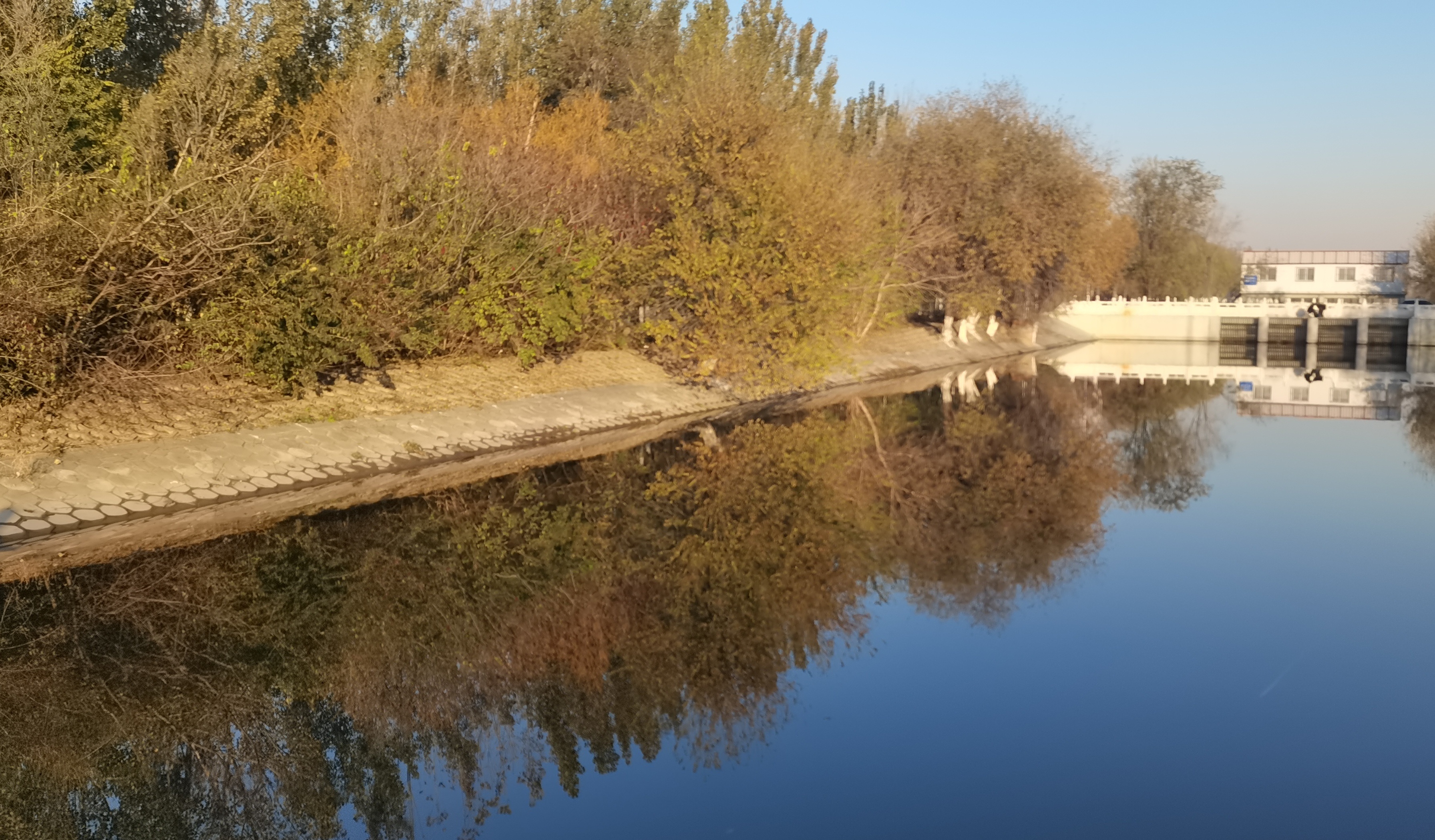 大风过后空气清爽，不过气温也明显低了，有些冻手，再降温河面就要上冻了。 