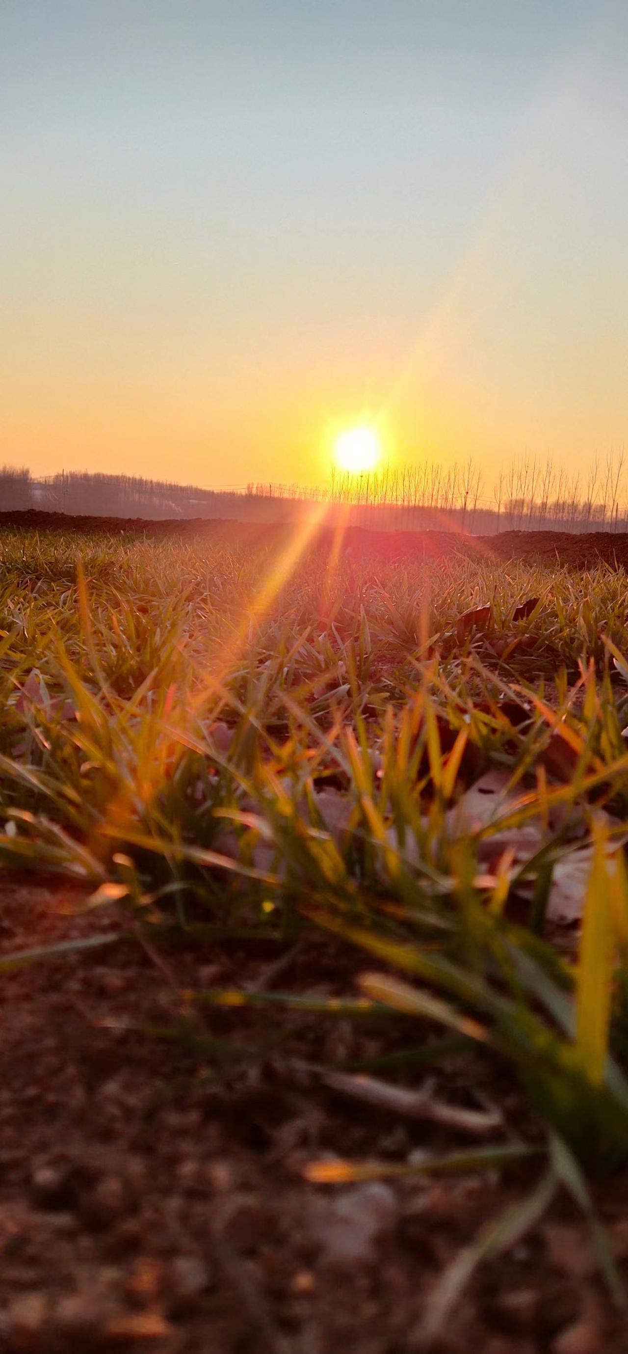 还要有责任和担当，不只是分享甜，更要共扛难，富时不骄，穷时不怨，累时搭把手，难时