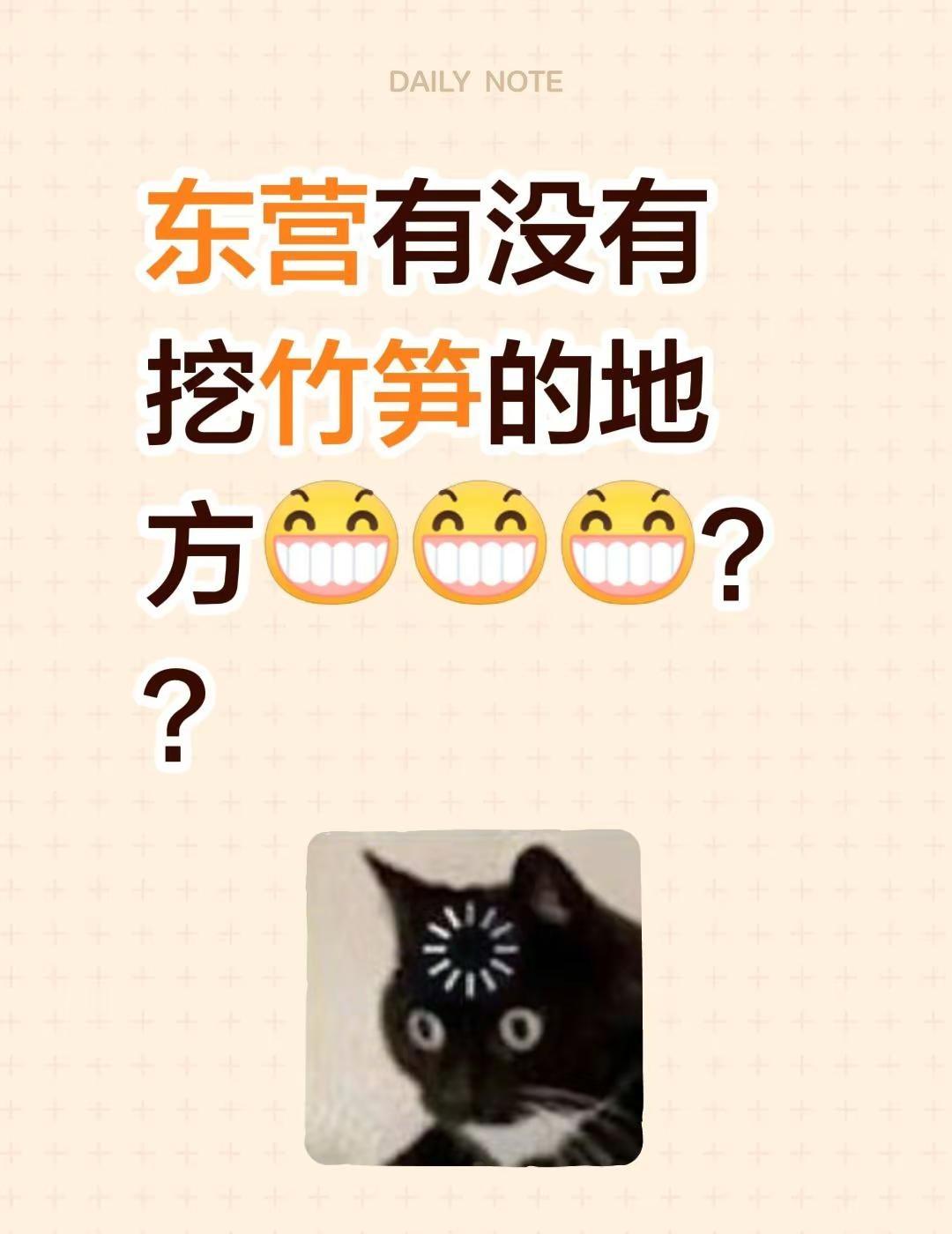 东营有没有挖竹笋的地方？？