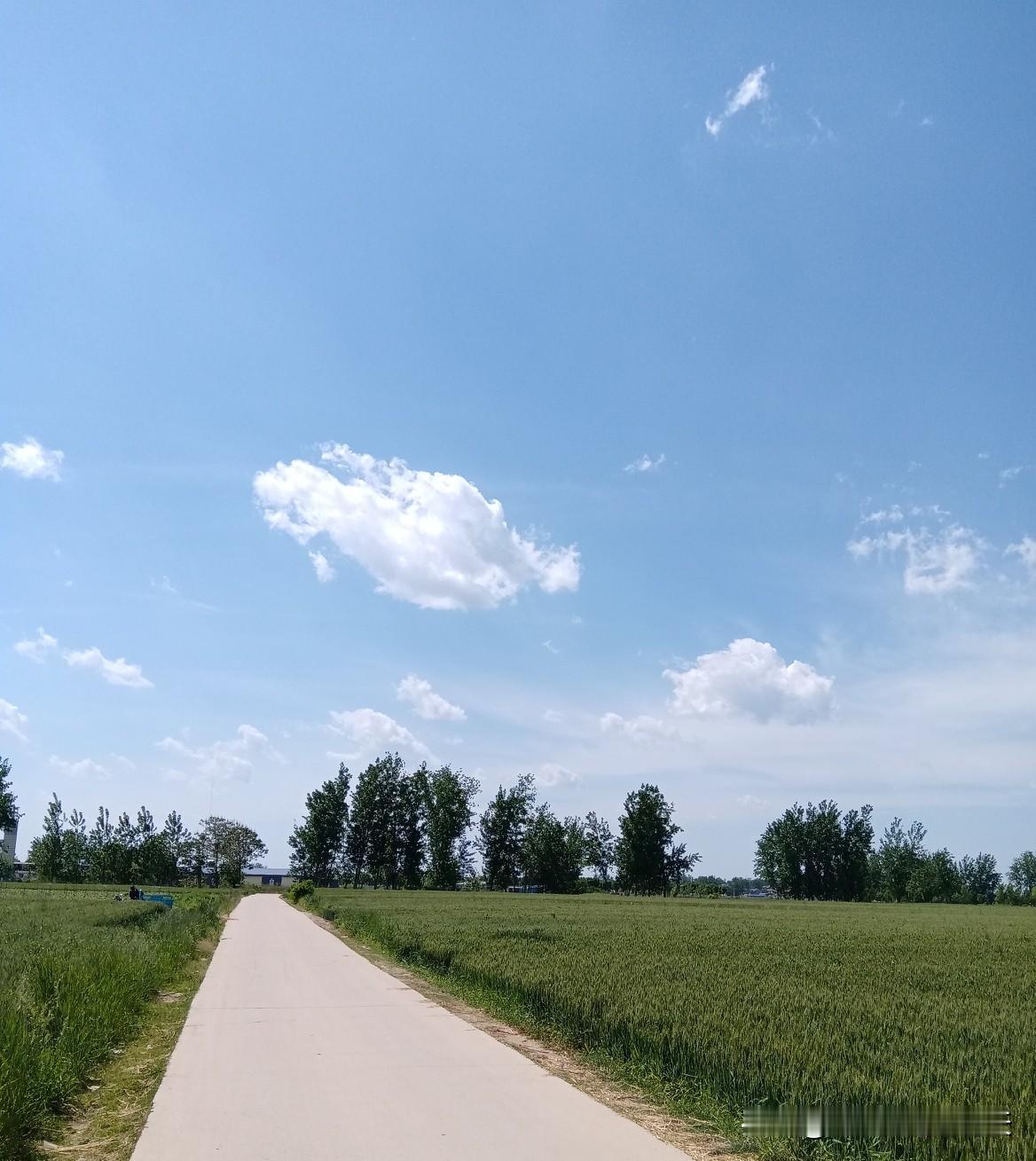 初夏是个很美好的季节，旅途的风景很美很美。
蓝蓝的天空漂浮着朵朵悠闲的云，微风不