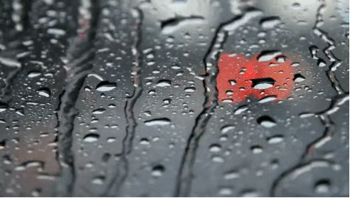 《忧伤的雨》———林清玄        雨，是忧伤世间的象征，使我看见了每一位雨