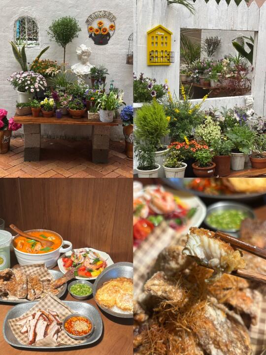 景德镇新开的 🌺花园里的泰国菜餐厅🍴